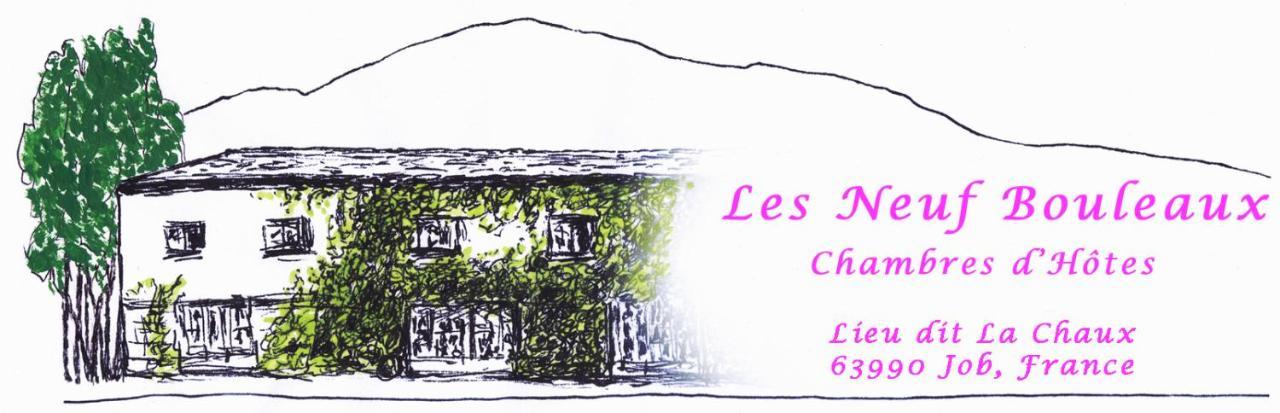 Les Neuf Bouleaux Bed and Breakfast Job Εξωτερικό φωτογραφία