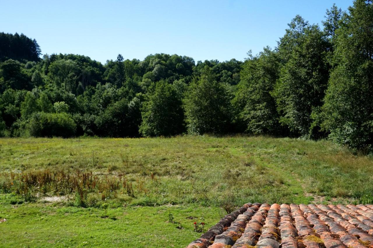 Les Neuf Bouleaux Bed and Breakfast Job Εξωτερικό φωτογραφία