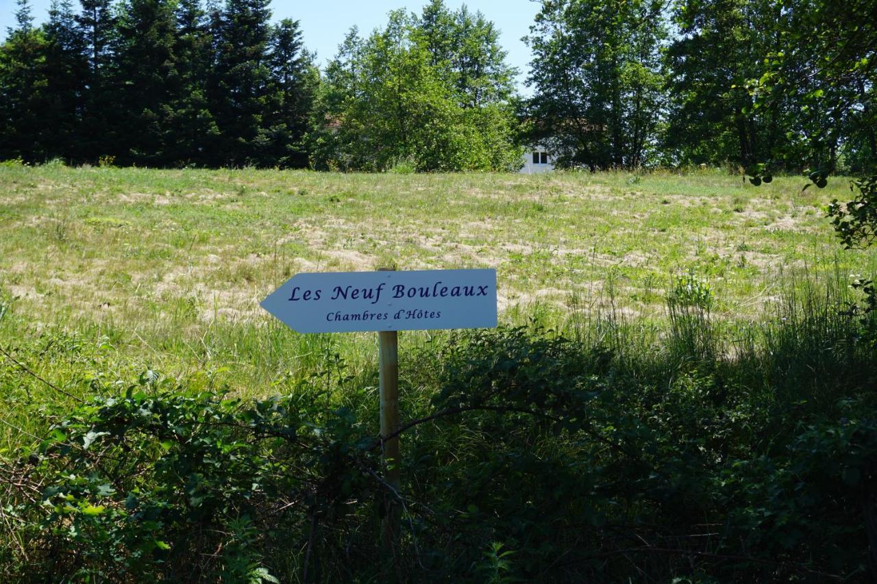 Les Neuf Bouleaux Bed and Breakfast Job Εξωτερικό φωτογραφία